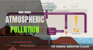 Unveiling the Sources: Understanding Atmospheric Pollution Causes