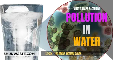 Unveiling the Hidden Culprits: Bacterial Water Pollution Explained