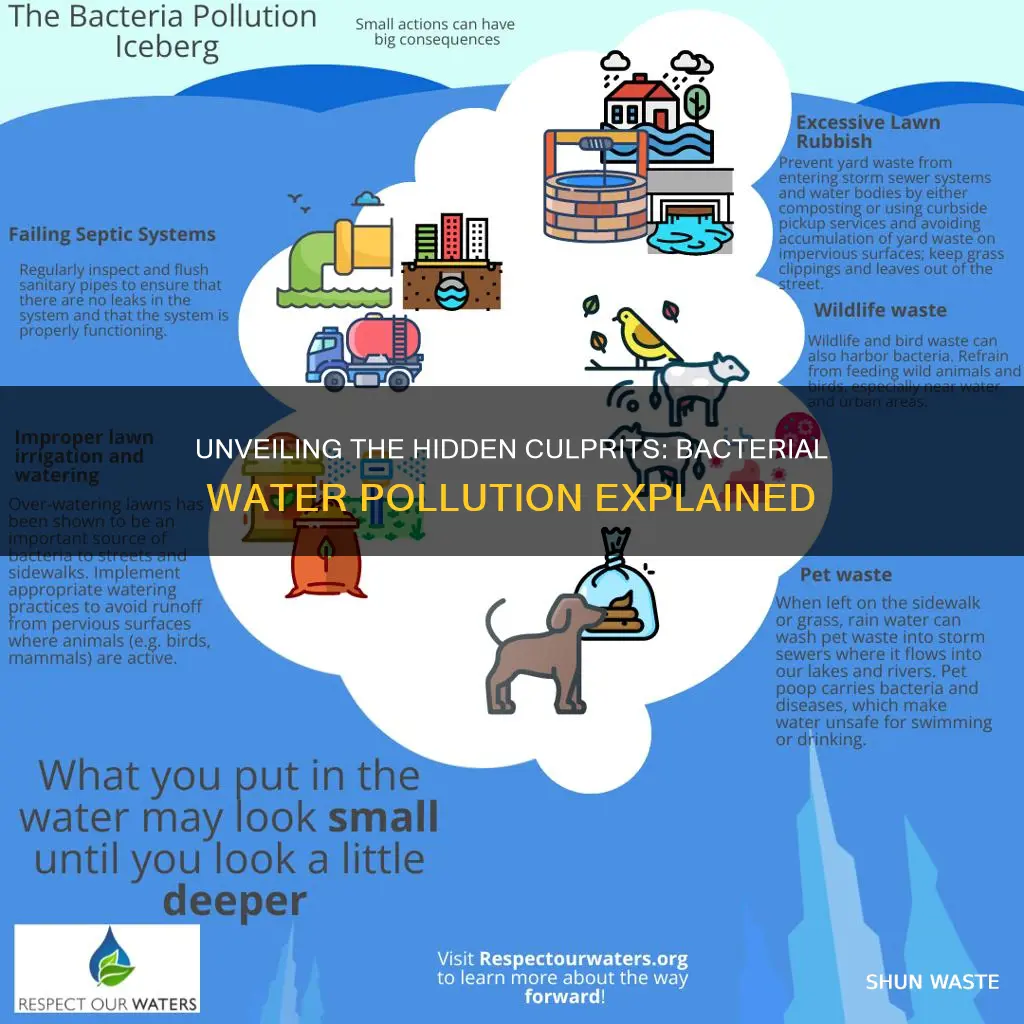 what causes bacterial pollution in water