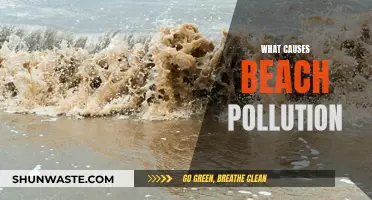 Unveiling the Sources: Understanding Beach Pollution Causes