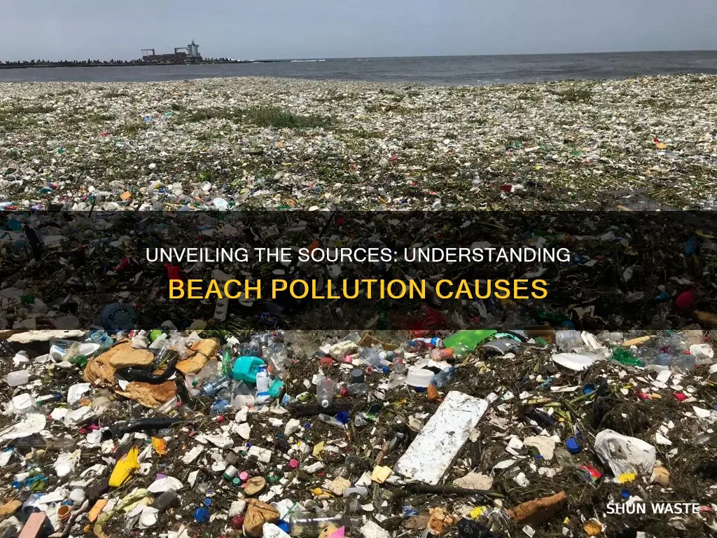 what causes beach pollution