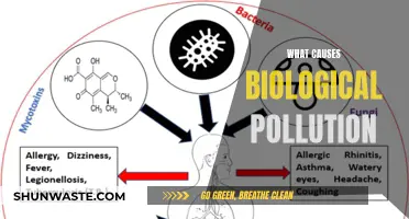 Unveiling the Hidden Sources of Biological Pollution