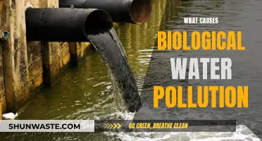 Unveiling the Hidden Causes of Biological Water Pollution