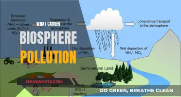 Unveiling the Hidden Causes of Biosphere Pollution