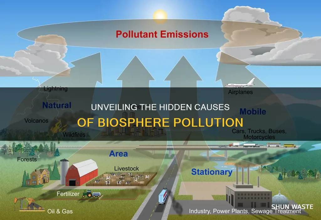 what causes biosphere pollution