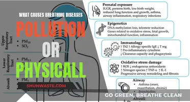 Breathing Trouble: Unraveling the Mystery of Pollution's Impact on Lung Health