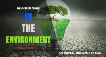 Exploring the Key Factors Driving Environmental Change and Impact