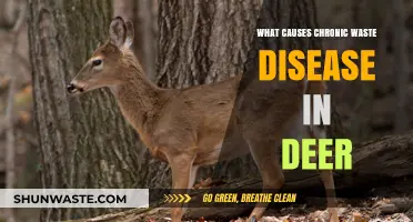 Unraveling Chronic Wasting Disease: Causes and Impact on Deer Populations