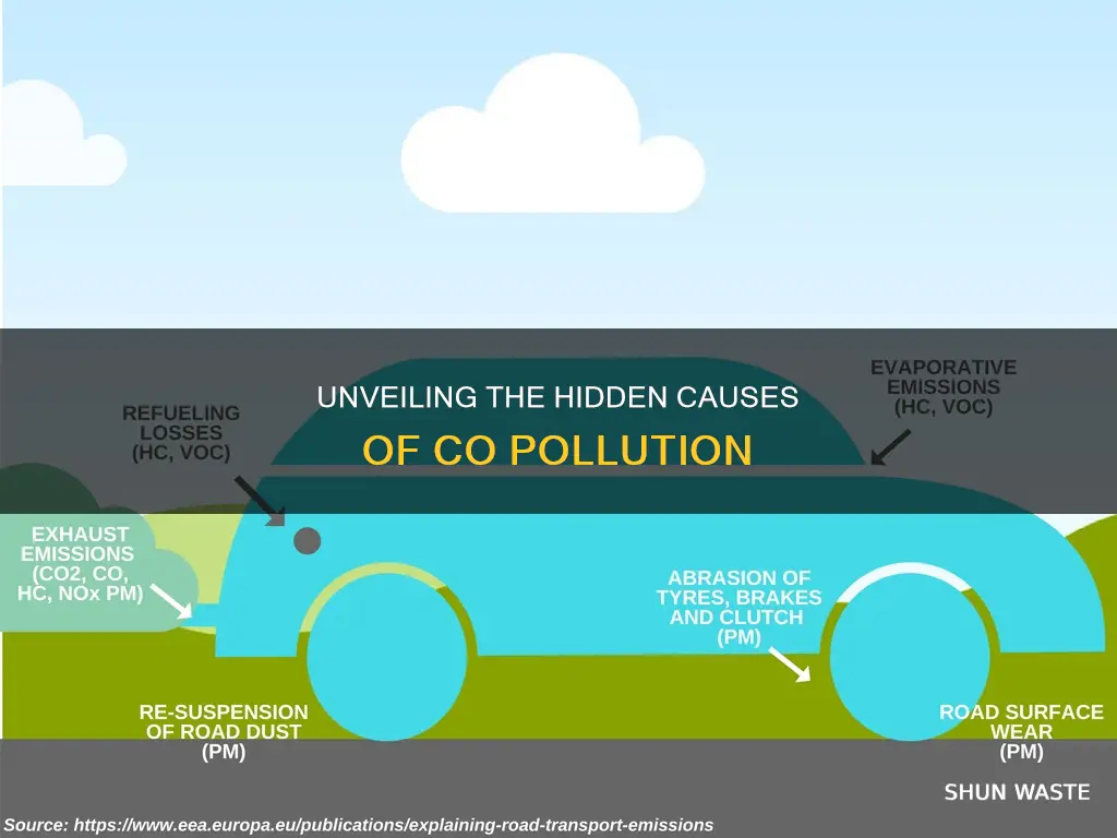 what causes co pollution