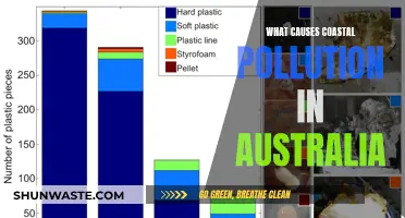 Australia's Coastal Woes: Unveiling the Sources of Pollution