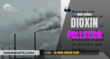 Unveiling the Sources: Understanding Dioxin Pollution