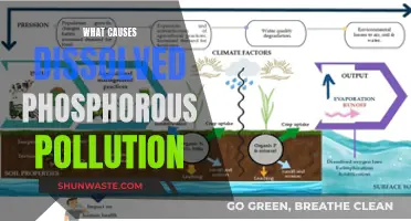 Unveiling the Sources: Understanding Dissolved Phosphorus Pollution