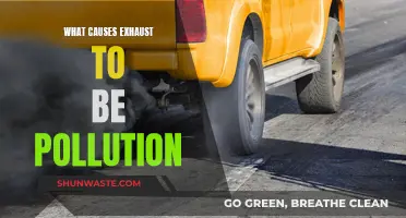 Unveiling the Sources: Why Exhaust Pollution Matters