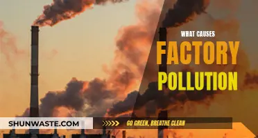 Unveiling the Sources: Understanding Factory Pollution's Origins