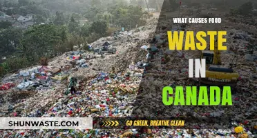 Uncovering the Root Causes of Food Waste in Canada