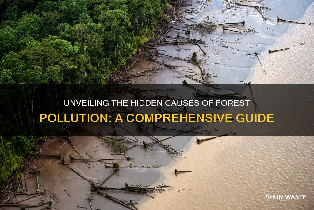 what causes forest pollution