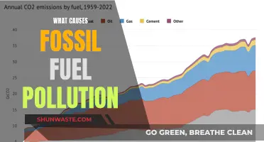 Unveiling the Hidden Sources of Fossil Fuel Pollution