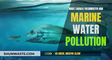 Unveiling the Sources: Causes of Freshwater and Marine Water Pollution