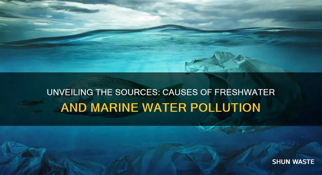 what causes freshwater and marine water pollution