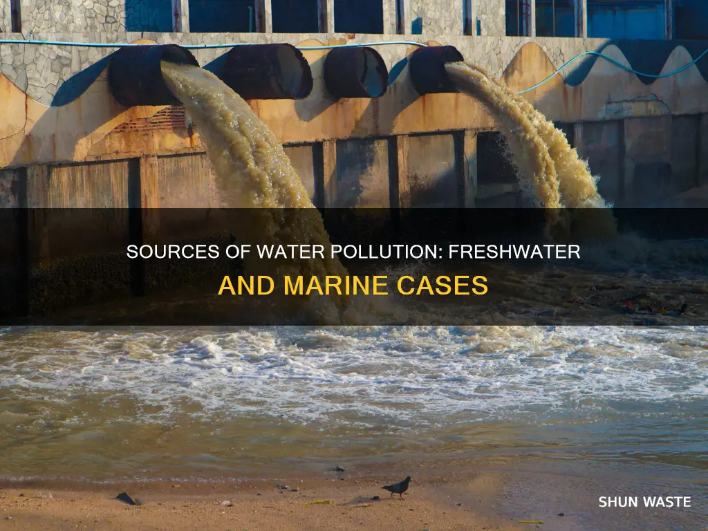 what causes freshwater and marine water pollution