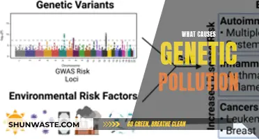 Understanding the Origins of Genetic Pollution: A Comprehensive Guide