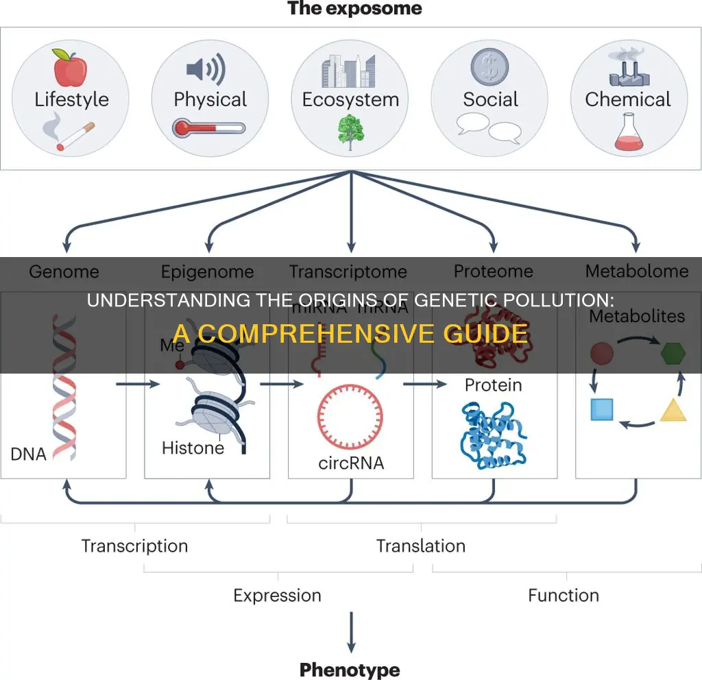 what causes genetic pollution