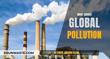 Unveiling the Complex Web: Causes of Global Pollution