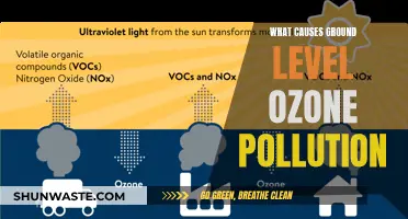 Unveiling the Sources: Understanding Ground-Level Ozone Pollution