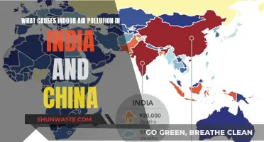 Unveiling the Hidden Dangers: Sources of Indoor Air Pollution in India and China