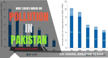 Unveiling Pakistan's Hidden Indoor Air Pollutants: Causes and Solutions