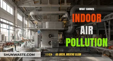 Unveiling the Hidden Sources: Understanding Indoor Air Pollution