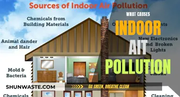 Unveiling the Hidden Dangers: Sources of Indoor Air Pollution