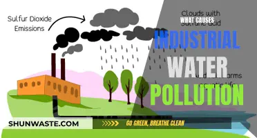 Unveiling the Sources: Industrial Water Pollution Explained