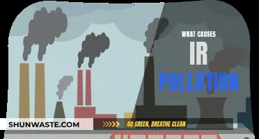 Unveiling the Sources: Understanding the Causes of Air Pollution