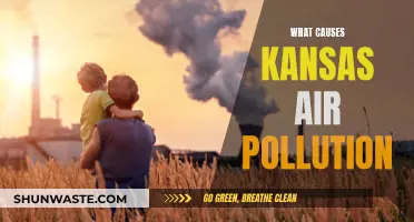 Unveiling the Sources: Understanding Kansas Air Pollution