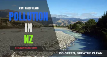 Unveiling New Zealand's Land Pollution: Causes and Solutions