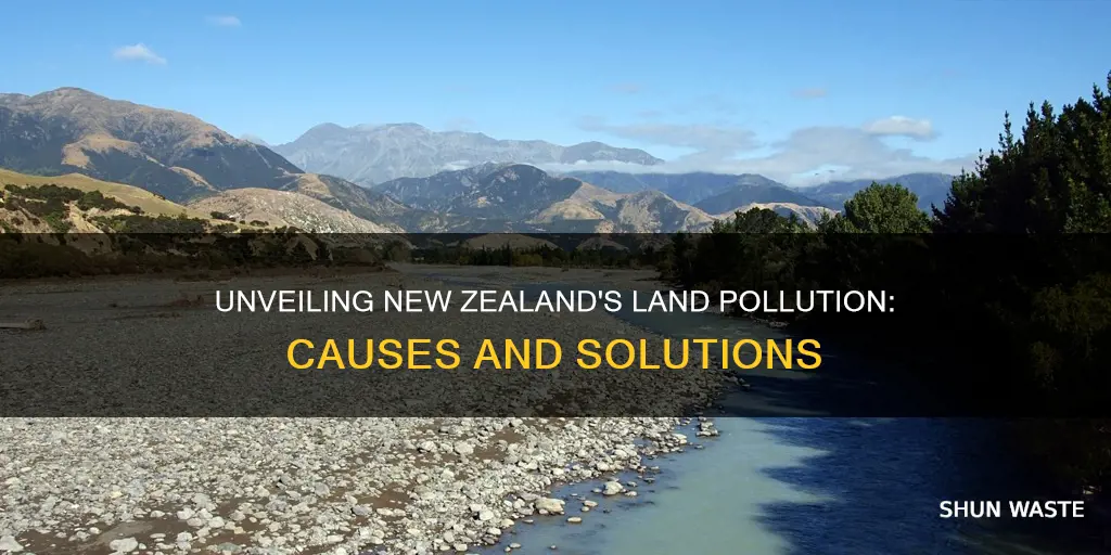 what causes land pollution in nz