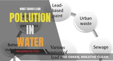 Unveiling the Hidden Sources: What Causes Lead Pollution in Water?