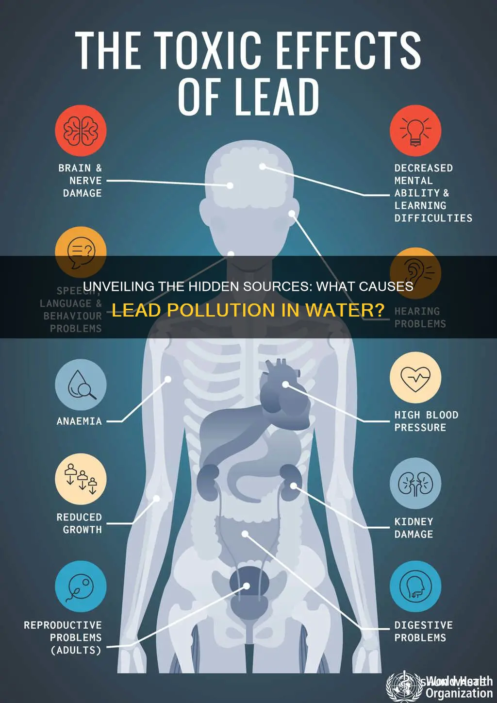 what causes lead pollution in water