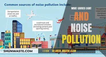 The Hidden Sources of Light and Noise Pollution: Unveiling the Causes