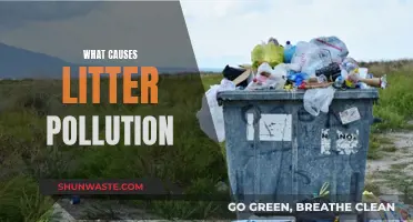 Unveiling the Sources: Understanding Litter Pollution's Origins