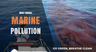 Unveiling the Hidden Causes of Marine Pollution: A Comprehensive Guide