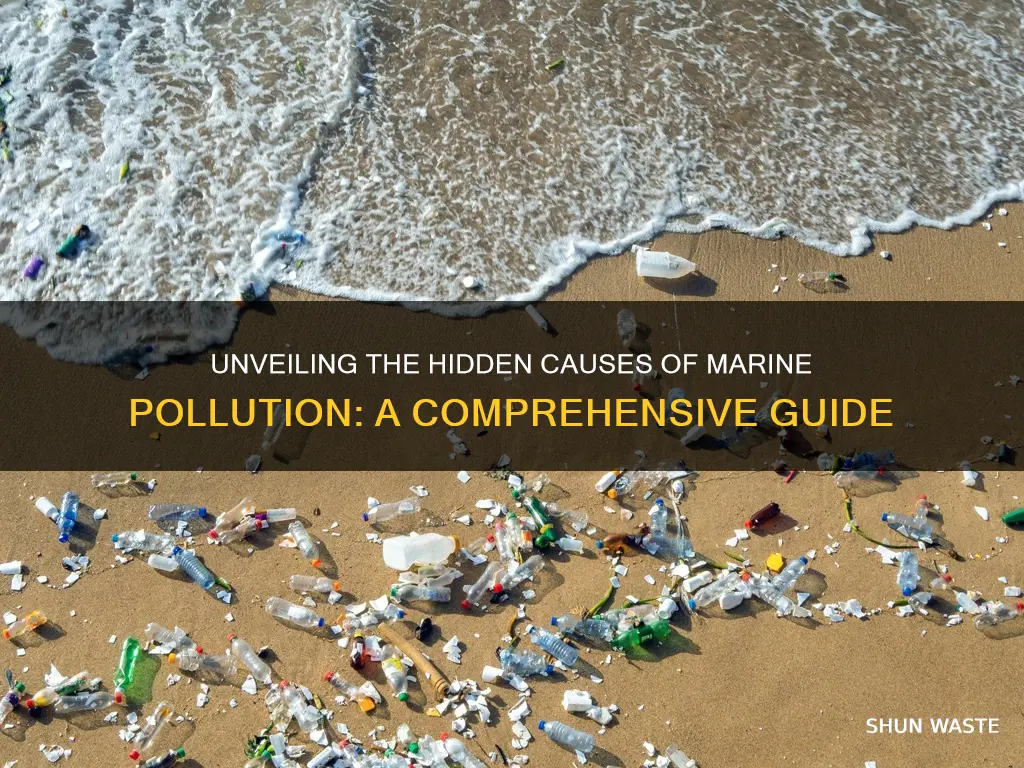 what causes marine pollution