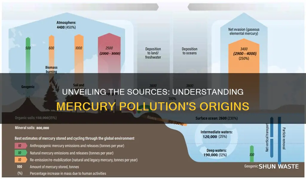 what causes mercury pollution