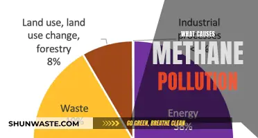 Unveiling the Sources: Understanding Methane Pollution