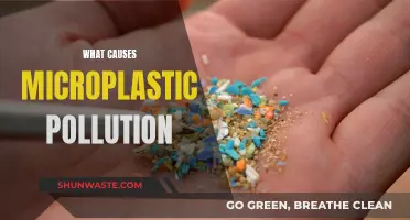 Unveiling the Sources: Understanding Microplastic Pollution's Origins