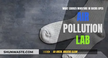 How Moisture in Socks Leads to Air Pollution