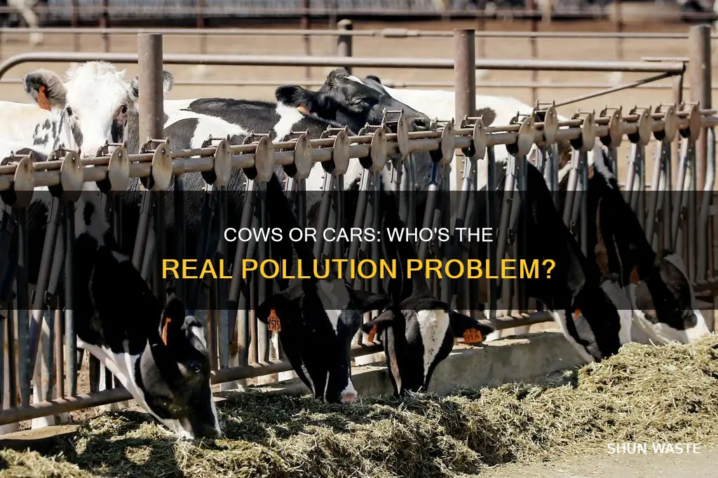 what causes more pollution cars or cows