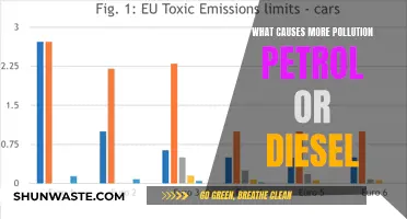 Petrol vs. Diesel: Unveiling the True Pollutant