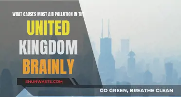 UK Air Pollution: What's the Main Culprit?
